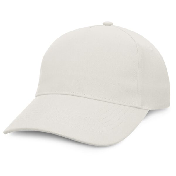 Condor Premium Cap - 49460_51423.jpg