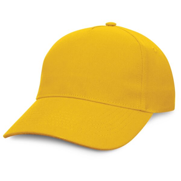 Condor Premium Cap - 49460_51424.jpg