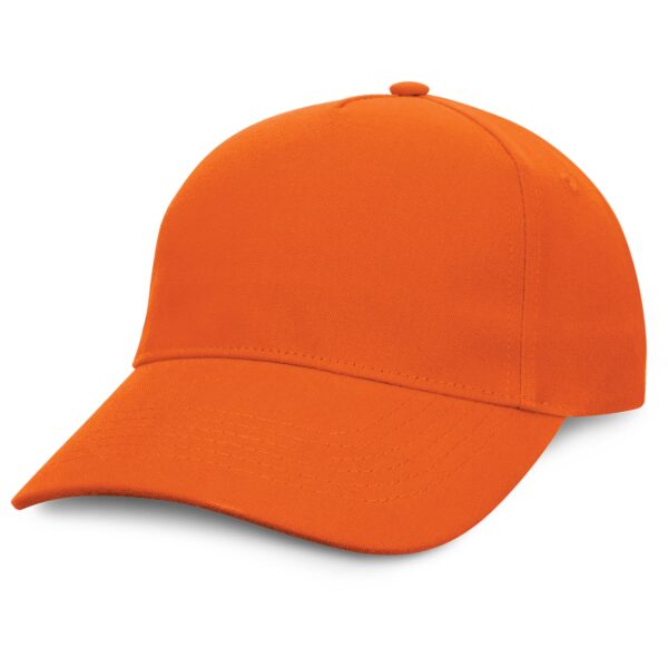 Condor Premium Cap - 49460_51425.jpg