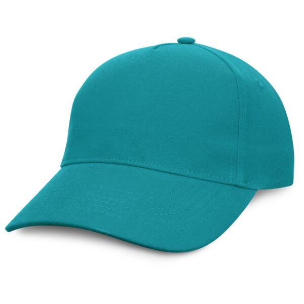 Condor Premium Cap - 49460_51429.jpg