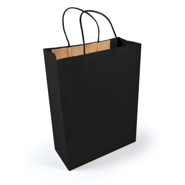 Express Paper Bag Large - 57954_87594.jpg