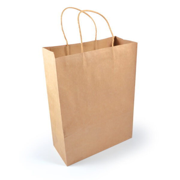 Express Paper Bag Large - 57954_87595.jpg