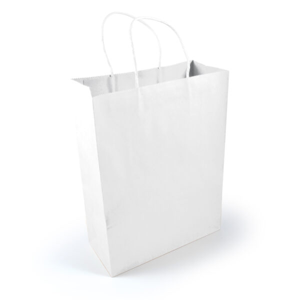 Express Paper Bag Large - 57954_87596.jpg