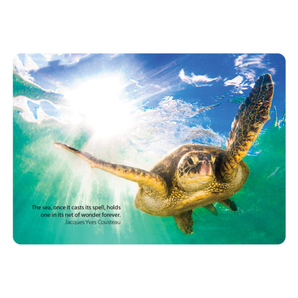 Hover Wireless Charger / Mouse Pad - 59742_86358.jpg