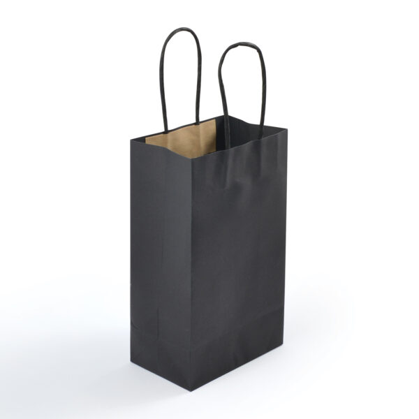 Express Paper Bag Small - 59803_87585.jpg