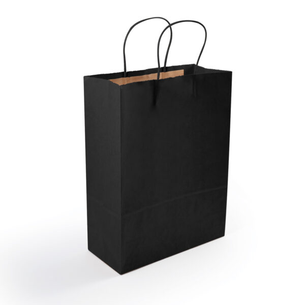 Express Paper Bag Medium - 59804_87589.jpg