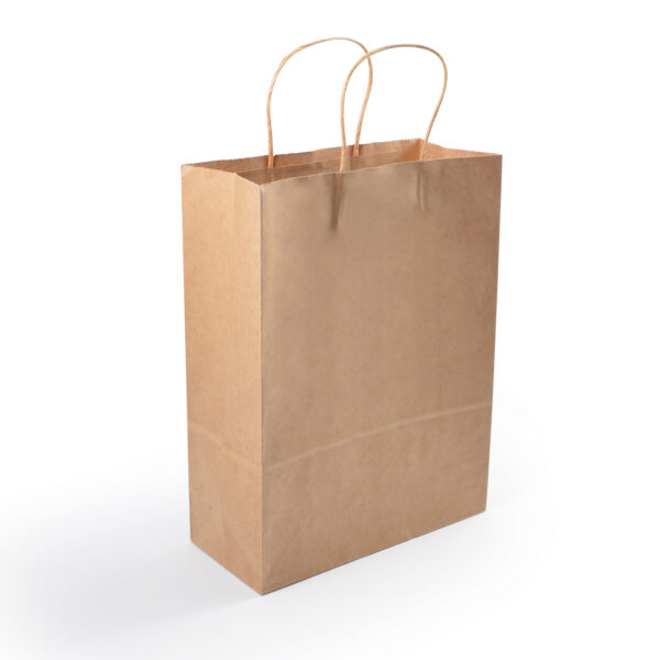 Express Paper Bag Medium - 59804_87591.jpg