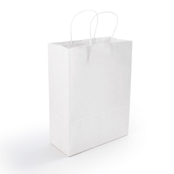 Express Paper Bag Medium - 59804_87592.jpg