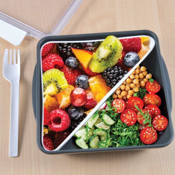 Zest Lunch Box / Food Container - 59817_107131.jpg