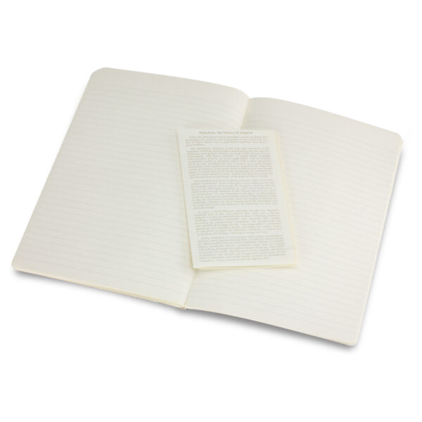 Moleskine® Volant Journal – Large - 60260_89409.jpg