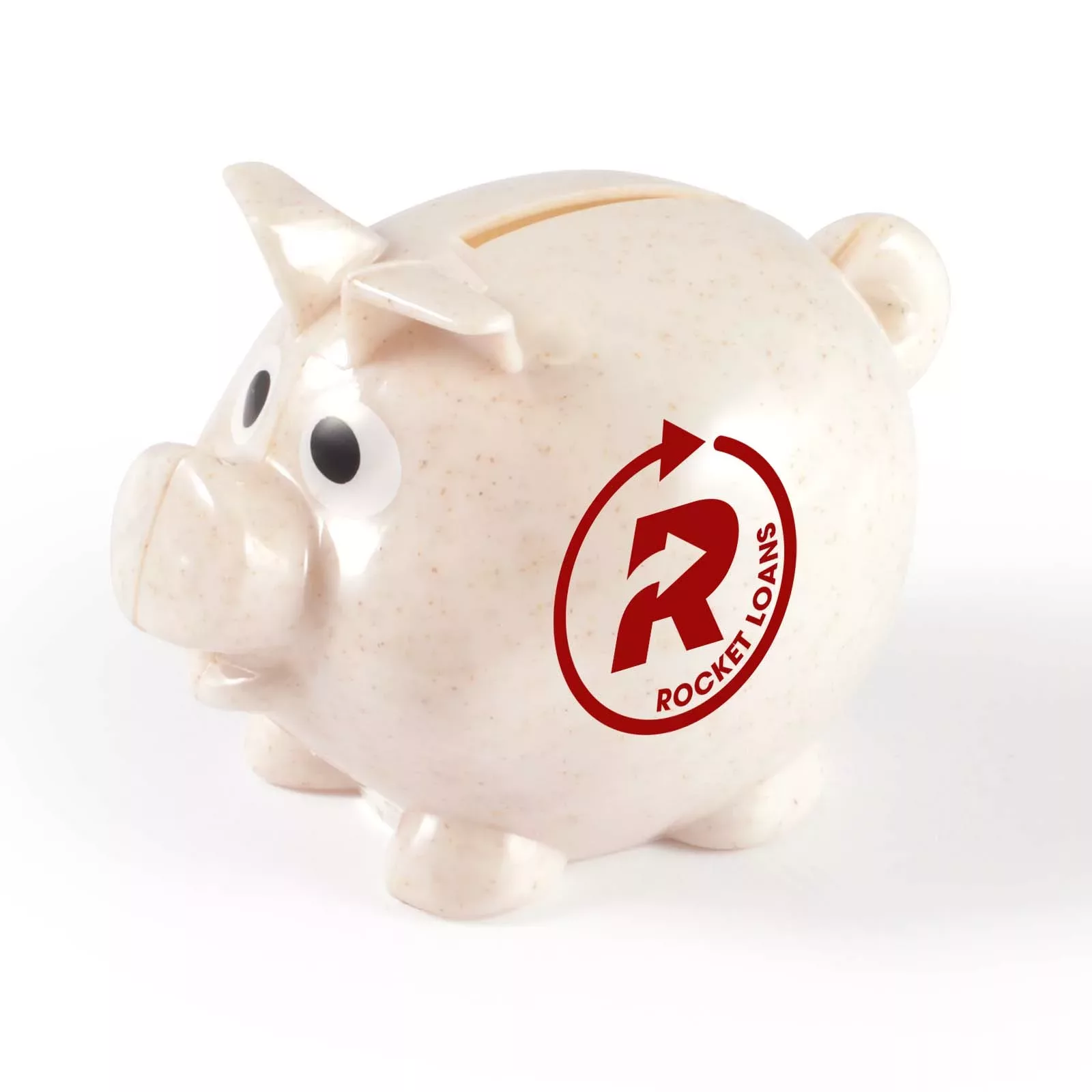 World’s Smallest Pig Eco Coin Bank - 61639_106851.jpg