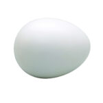 Stress Egg White - 27975_17021.jpg