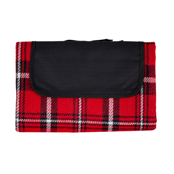 Easy Carry Picnic Rug - 42504_113325.jpg