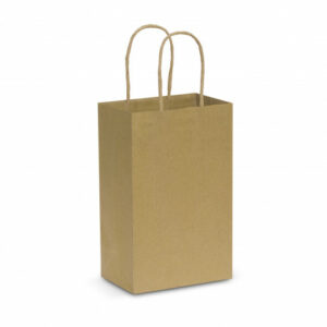 Paper Carry Bag – Small - 44396_95856.jpg