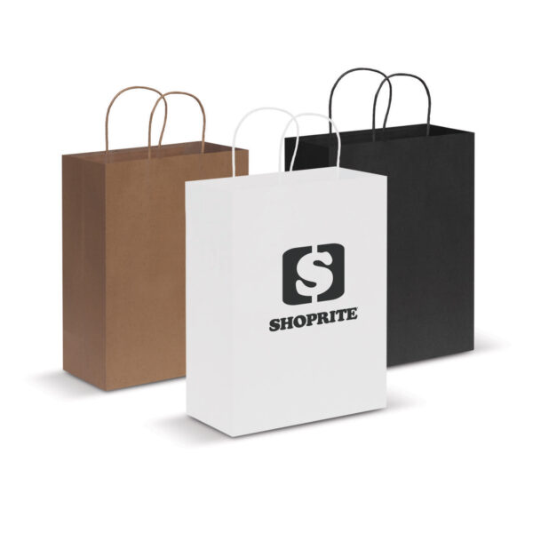 Paper Carry Bag – Large - 44398_33404.jpg