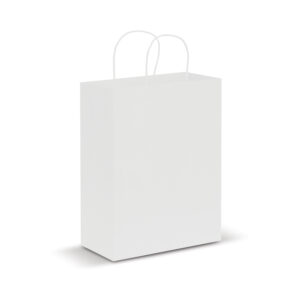 Paper Carry Bag – Large - 44398_33405.jpg