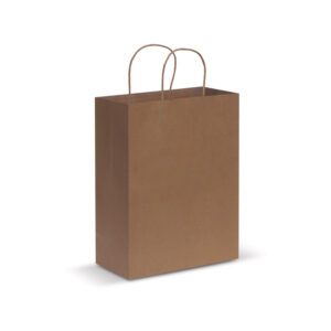 Paper Carry Bag – Large - 44398_33406.jpg