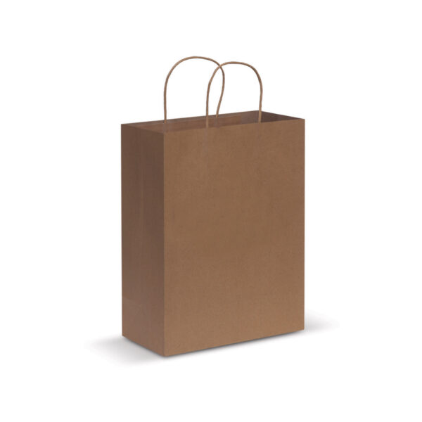 Paper Carry Bag – Large - 44398_33406.jpg