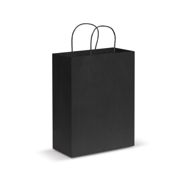 Paper Carry Bag – Large - 44398_33407.jpg