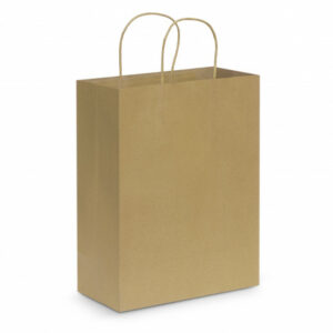 Paper Carry Bag – Large - 44398_95864.jpg