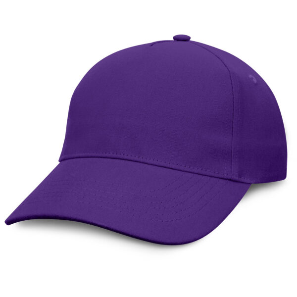 Condor Premium Cap - 49460_125746.jpg