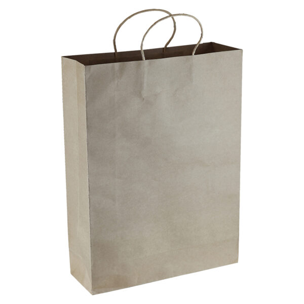 Paper Kraft Shopping Bag - 54002_104967.jpg