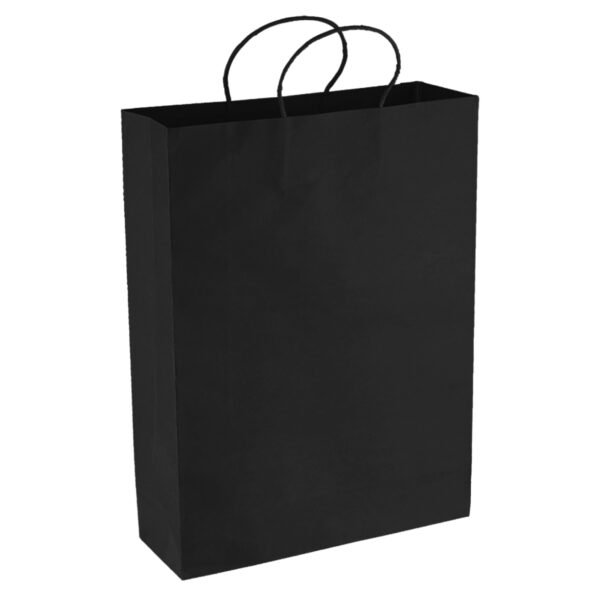 Paper Kraft Shopping Bag - 54002_112380.jpg