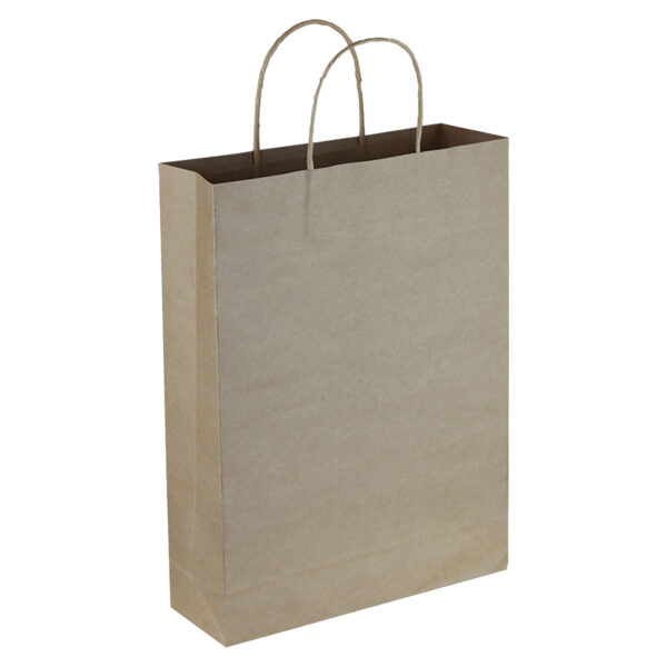 Paper Trade Show Bag - 54003_104968.jpg