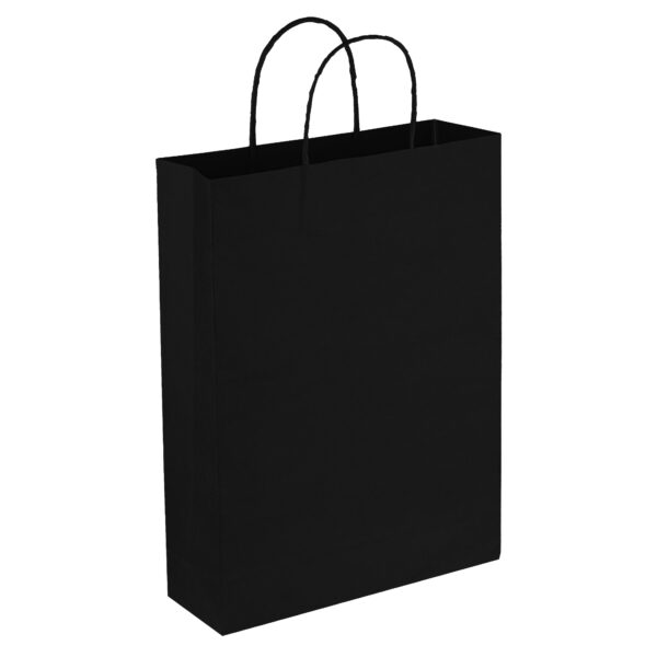 Paper Trade Show Bag - 54003_112491.jpg