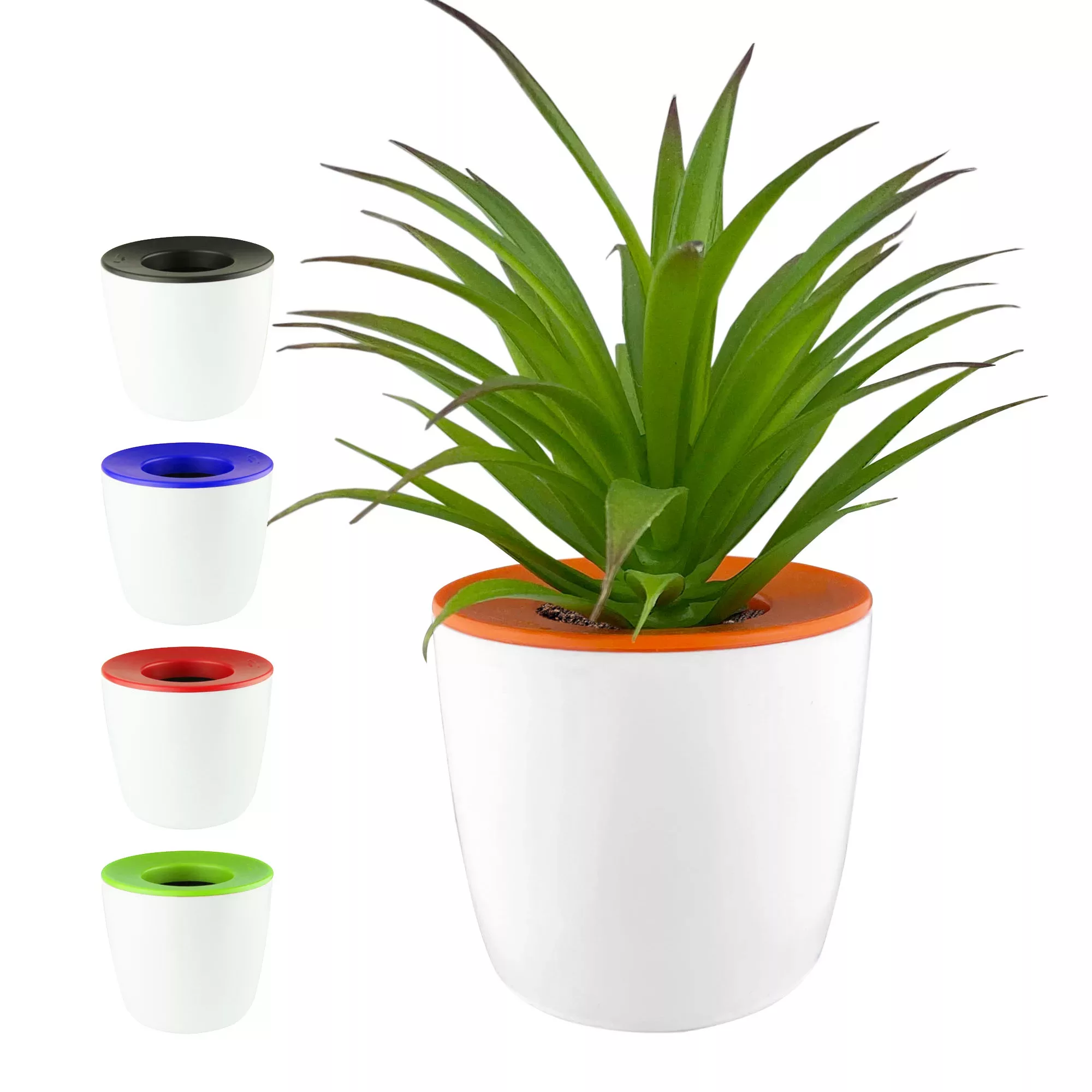 Mini Desk Plant Pot - 60555_100620.jpg