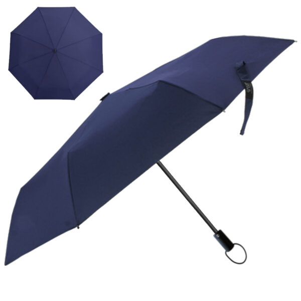 The Windsor Umbrella - 61305_105948.jpg