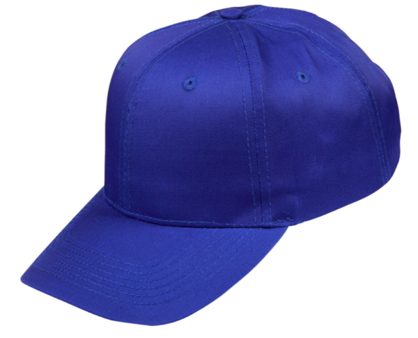 Cotton Twill Structured Cap - 3180_69534.png