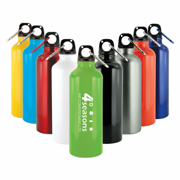 Drink Bottle Everest 500ml Aluminium With Carabiner - 22446_116201.jpg