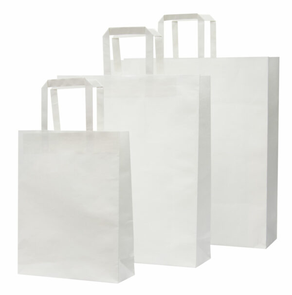 Paper Bag – Large - 27040_116744.jpg