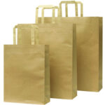 Paper Bag – Large - 27040_16581.jpg