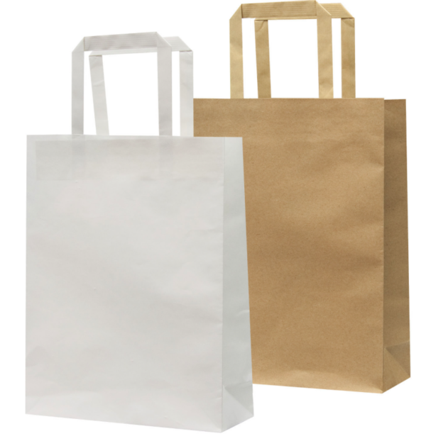 Paper Bag – Large - 27040_52850.png