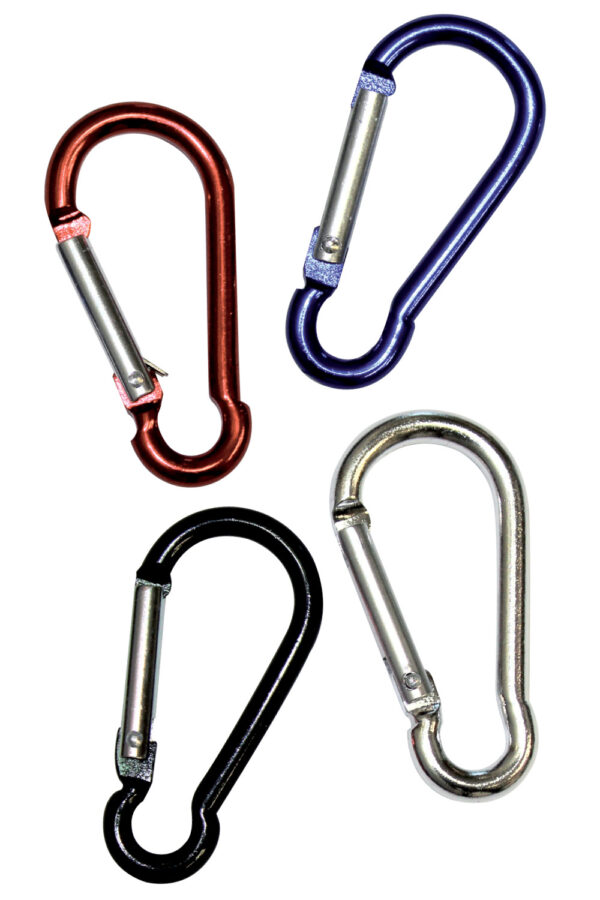 Carabiner Key Ring - 27066_116051.jpg