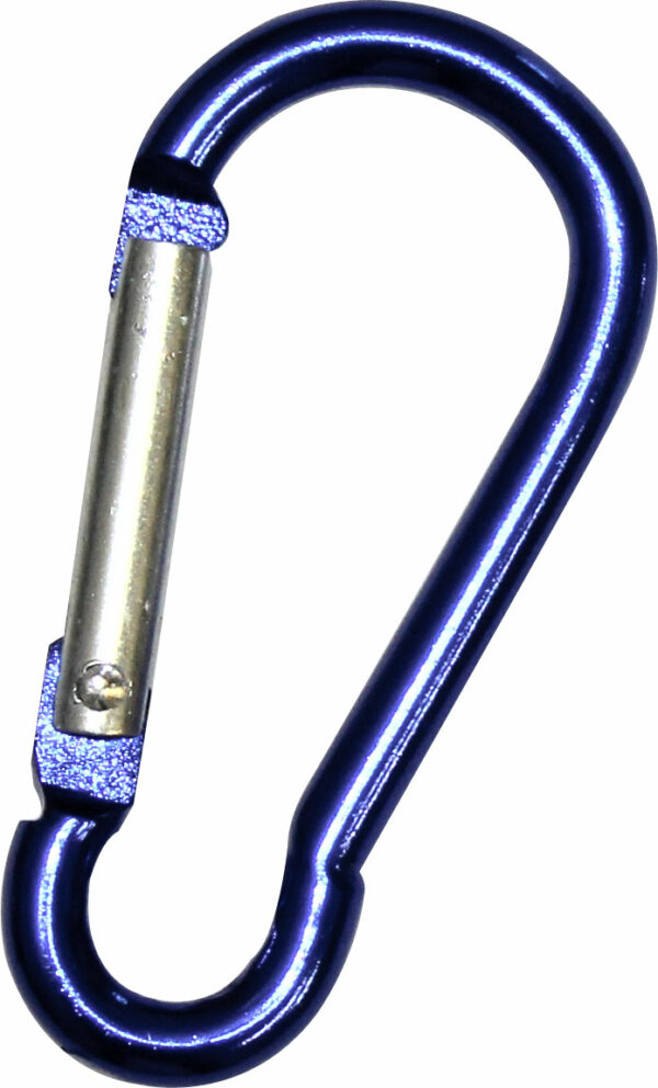 Carabiner Key Ring - 27066_117094.jpg