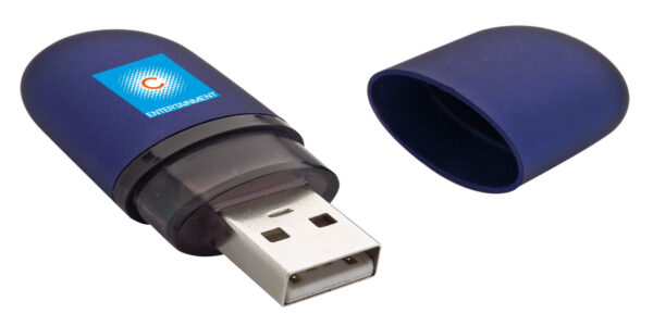 Usb Oval Shape Phoenix ( Factory Direct Moq) - 54248_115978.jpg