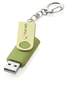 Usb Twister Design With Key Ring ( Factory Direct Moq) - 54340_115720.jpg