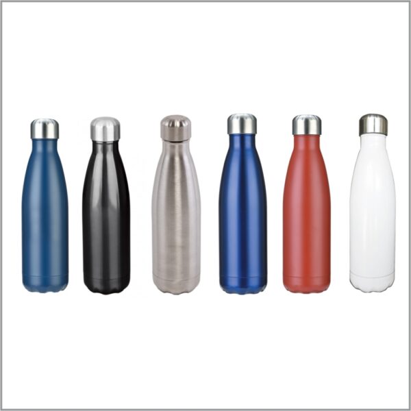 Premium Double Wall Stainless Steel Drink Bottle - 41430_121359.jpg