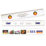 Rulers (Laminated Card)