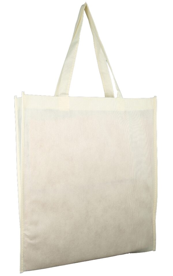 Non-Woven Shopping Bag - 58879_121369.jpg