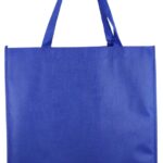 Non-Woven Shopping Bag - 58881_121234.JPG