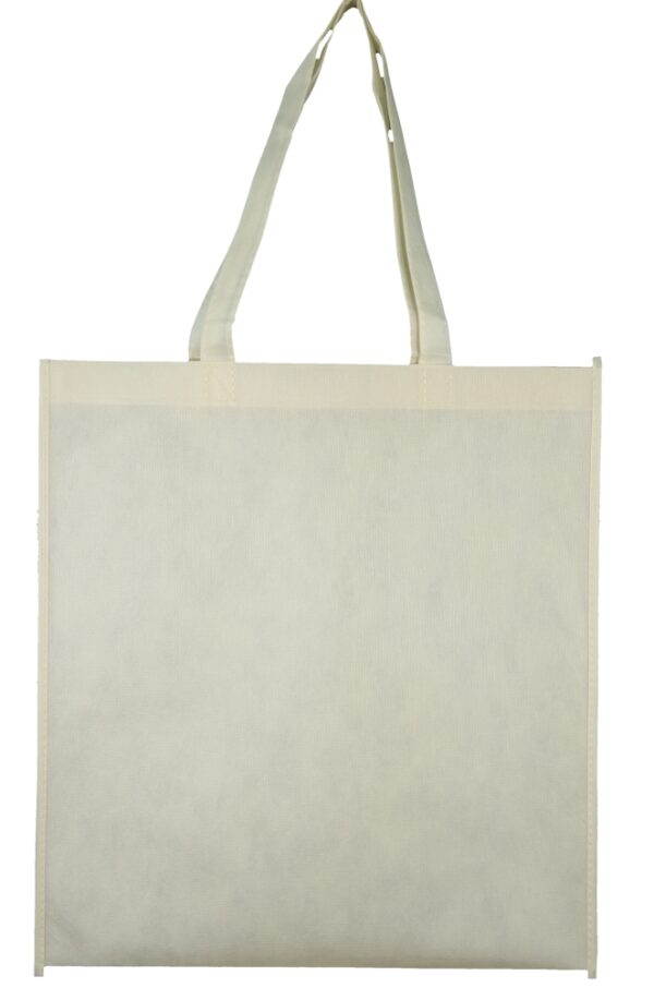 Non-Woven Shopping Bag - 58881_121599.jpg