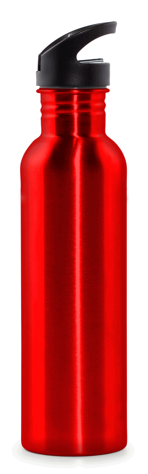 800ml Stainless Steel Water Bottle - 56181_73022.png